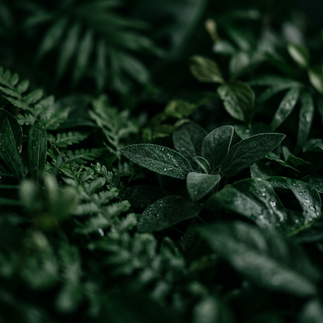 You wouldn't eat these ingredients. Why put them on your skin?